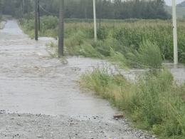W Kałkowie znów zalało drogę. Powrócił problem sprzed dziesięciu miesięcy (WIDEO)
