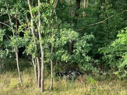 Tragiczny wypadek motocyklisty w Kędzierzynie-Koźlu. Droga 423 zablokowana
