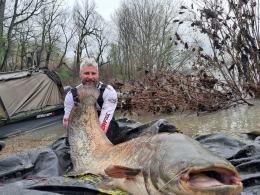 Gigantyczne sumy złowione w Odrze. Ryby miały ponad dwa metry długości