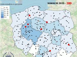 Mapa śmiertelnych wypadków drogowych. Policja publikuje statystyki