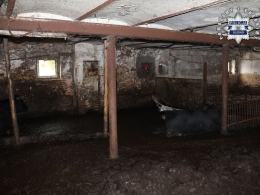 Niehumanitarne warunki w gospodarstwie - właściciel odpowie za znęcanie się nad zwierzętami