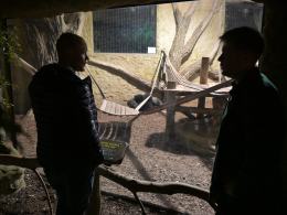 Nocne zwiedzanie zoo przyciągnęło tłumy opolan (Wideo)