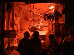 Nocne zwiedzanie zoo przyciągnęło tłumy opolan (Wideo)