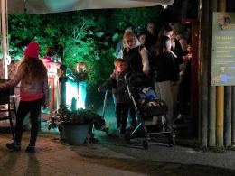 Nocne zwiedzanie zoo przyciągnęło tłumy opolan (Wideo)