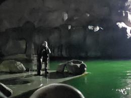 Nocne zwiedzanie zoo przyciągnęło tłumy opolan (Wideo)