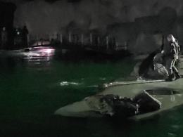 Nocne zwiedzanie zoo przyciągnęło tłumy opolan (Wideo)
