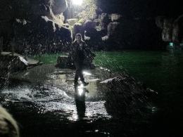 Nocne zwiedzanie zoo przyciągnęło tłumy opolan (Wideo)