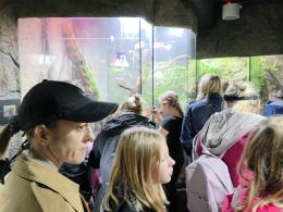 Nocne zwiedzanie zoo przyciągnęło tłumy opolan (Wideo)