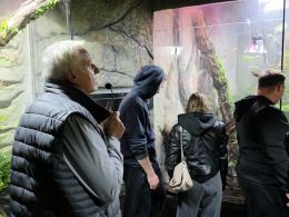 Nocne zwiedzanie zoo przyciągnęło tłumy opolan (Wideo)