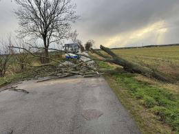 Silny wiatr nad Opolszczyzną. Strażacy interweniowali blisko 60 razy
