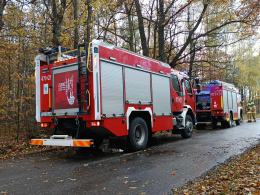 Silny wiatr nad Opolszczyzną. Strażacy interweniowali blisko 60 razy