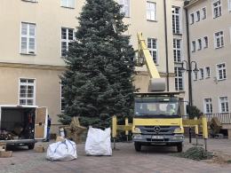 Trwają przygotowania do Jarmarku Bożonarodzeniowego na opolskim rynku