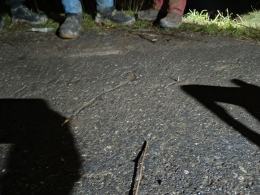 Policja wyjaśnia sprawę metalowych elementów wbitych w jezdnię. Trwa poszukiwanie sprawcy