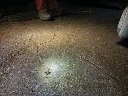 Policja wyjaśnia sprawę metalowych elementów wbitych w jezdnię. Trwa poszukiwanie sprawcy