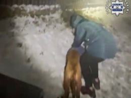 Pies nabił się na płot - uratowali go policjanci z Głubczyc
