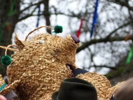 Wodzenie Bera w Muzeum Wsi Opolskiej. Tradycyjny mięsopust przyciągnął uczestników