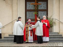 Niedziela Palmowa - symbolika i znaczenie w tradycji Kościoła