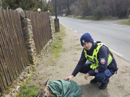 Namysłów: Policjanci pomogli rannym sarnom. Zwierzęta trafiły do azylu
