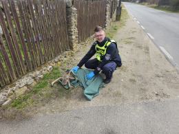 Namysłów: Policjanci pomogli rannym sarnom. Zwierzęta trafiły do azylu