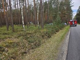 Śmiertelny wypadek pod Opolem. Kierowca zginął po uderzeniu w drzewo
