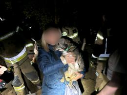 Kilkugodzinna akcja strażaków. Zwierzę utknęło pod ziemią