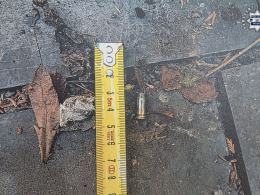 Strzelał z broni podczas grilla - trafił już do zakładu karnego