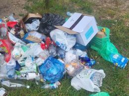 Artykuł czytelnika: Wraca problem na Kamionce Bolko. Temat pojawia się co roku