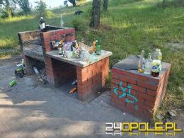 Artykuł czytelnika: Wraca problem na Kamionce Bolko. Temat pojawia się co roku