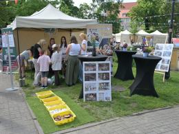 Trwa Strassenfest w Opolu. Plac Wolności wypełniły muzyka i rodzinne atrakcje