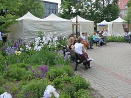 Trwa Strassenfest w Opolu. Plac Wolności wypełniły muzyka i rodzinne atrakcje
