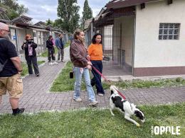 Doda odwiedziła opolskie schronisko. "Jedno z lepszych w Polsce"