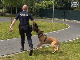 Red i Drago wspierają policjantów i edukują mieszkańców