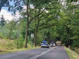 Pijany kierowca wypadł z drogi i uderzył w drzewo