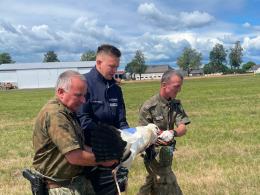 Policjanci z ogniwa wodnego w Turawie uratowali rannego bociana