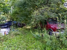Rozbili zorganizowaną grupę przestępczą - 7 osób zatrzymanych