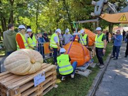 Dyniowy rekord w Krapkowicach. Za nami Bania Fest