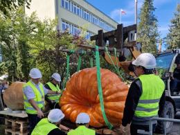 Dyniowy rekord w Krapkowicach. Za nami Bania Fest