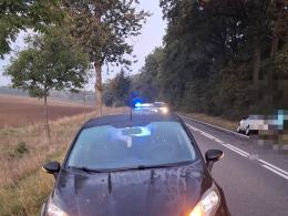 Jeleń wbiegł na DK42. Doszło do dwóch zderzeń