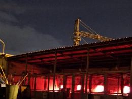 Kontrola weterynaryjna w opolskim schronisku. Placówka przygotowuje się do zimy