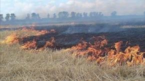 Leśnicy w marcu prowadzą dyżury przeciwpożarowe. Pożary traw to plaga