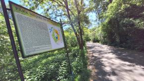Wyspa Bolko obchodzi 110 urodziny