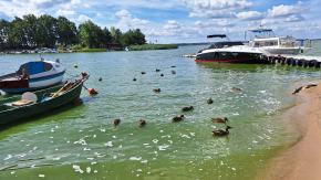 "Jeśli zostanę posłem, jezioro duże w Turawie będzie czyste" - mówi Piotr Mielec