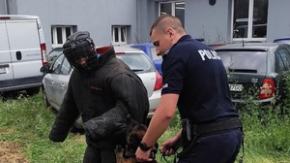 Sierżant Jakub Siepak z psem Atomem na podium w wojewódzkich zawodach kynologicznych