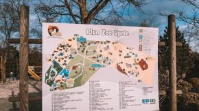 Nocne zwiedzanie w Zoo Opole - ogród w zupełnie nowym świetle