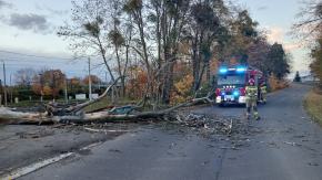 Silny wiatr. Strażacy usuwali powalone drzewa i konary. 25 interwencji