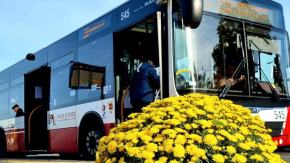 Komunikacja miejska w Opolu 1 i 2 listopada