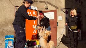 Wsparli bezdomne psiaki. Piękna akcja policjantów z Kędzierzyna-Koźle