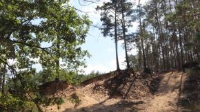 Opolszczyzna zyska nowe rezerwaty przyrody. Trwa proces ich ustanawiania