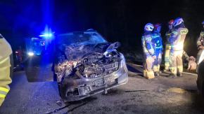 Zderzenie samochodu ze zwierzęciem na drodze wojewódzkiej 426. Jedna osoba trafiła do szpitala