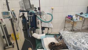 Nowy sprzęt diagnostyczny w Zoo Opole. Dział weterynarii zyskał aparat RTG